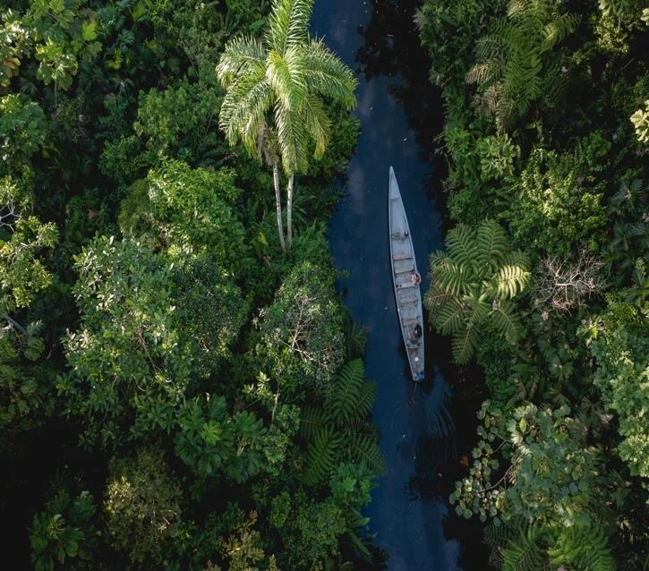 Retiro de desintoxicación de lujo en la Amazonía