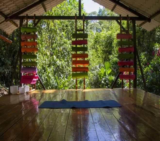 Conexión y celebración LGBTQ+ en la selva — Hamadryade Lodge